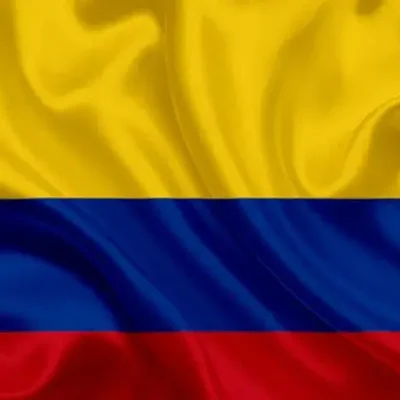 BANDERA COLOMBIA